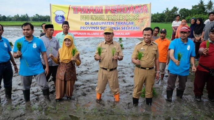 Bupati Takalar Syamsari Kitta saat melakukan penanaman padi varietas IPB 3S di Masago, Polombangkeng Selatan, Takalar, beberapa waktu lalu. (Ist)