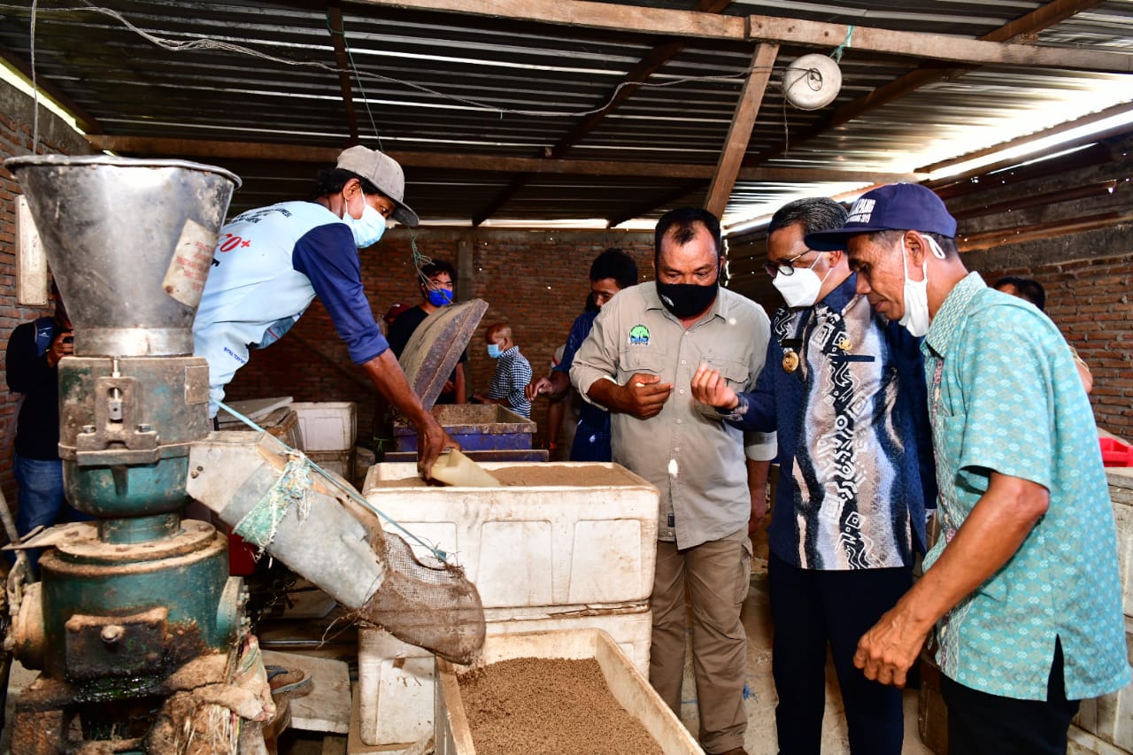 Gubernur meninjau parbrik pakan di Pinrang. (Ist)