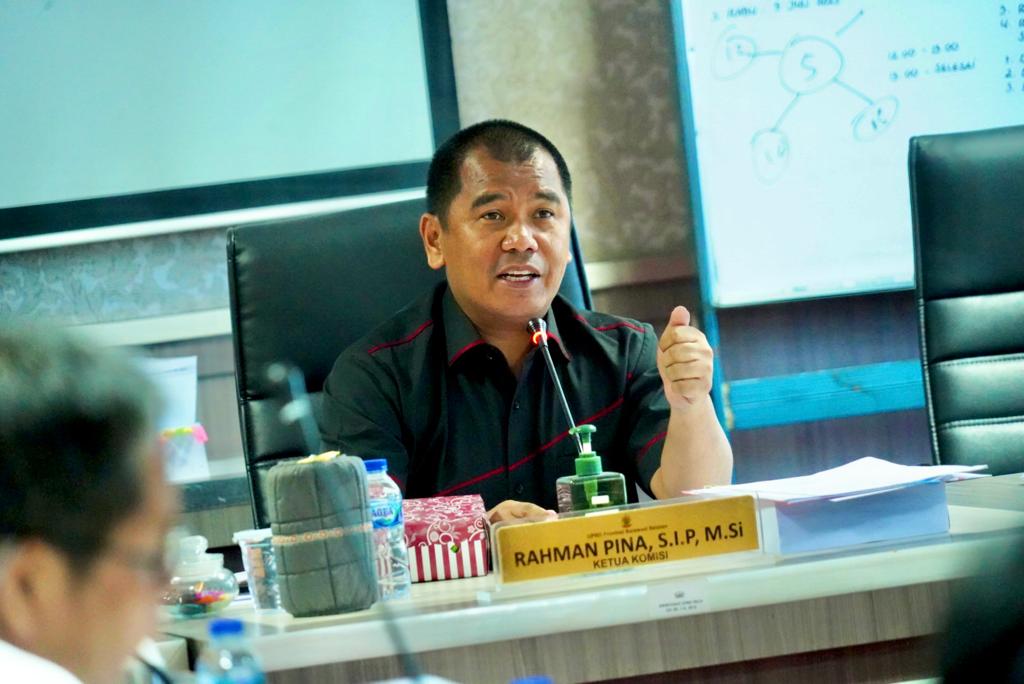 Wakil Ketua DPRD Sulsel Rahman Pina. (Ist)