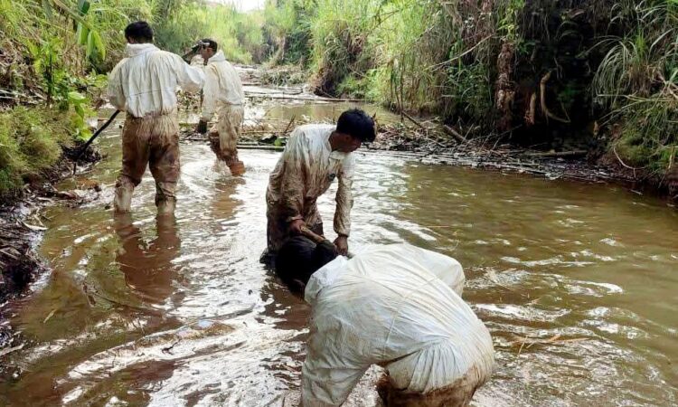 Ribuan hektare sawah di kecamatan Towuti terancam gagal panen akibat kebocoran pipa PT Vale akhir Agustus lalu. Akibat kebocoran itu, warga pun kini terancam krisis air bersih. (Ist)