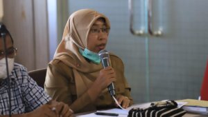 Kepala Seksi Sumber Daya Air Dinas PUTR Sulsel, Ismayanti Nur. (Ist)