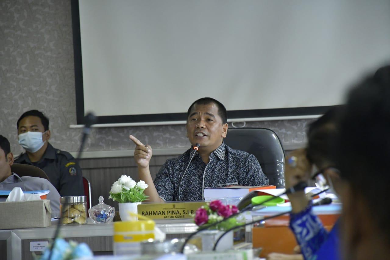 Ketua Komisi E DPRD Sulsel Rahman Pina. (Ist)