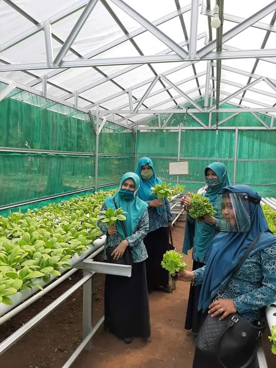 Ketua TP PKK Takalar Irma Andriani mengunjungi pengembangan tanaman hidroponik di desa Lengkese, Mangarabombang, Selasa 4 Agustus 2020. (Ist) Ketua TP PKK Takalar Irma Andriani mengunjungi pengembangan tanaman hidroponik di desa Lengkese, Mangarabombang, Selasa 4 Agustus 2020. (Ist)