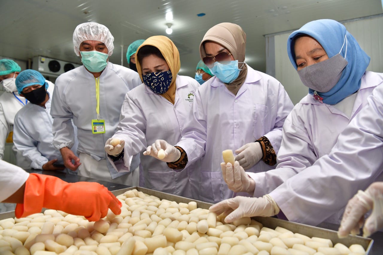 Ketua Tim Penggerak PKK Sulsel, Lies F Nurdin, mengunjungi pabrik pengolahan talas satoimo, PT Tridanawa Perkasa Indonesia (TPI) Makassar, Sabtu, 20 Juni 2020.