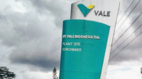 PT Vale Tbk. (Int) PT Vale Tbk. (Int)