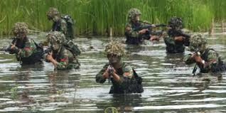 Pasukan TNI saat melakukan pengejaran KKB di Papua. (Ilustrasi Int)