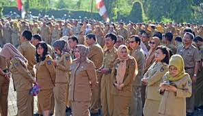 Pegawai Pemprov Sulsel. (Int).jpg