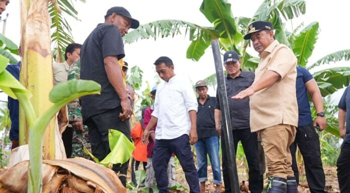Penjabat Gubernur Sulsel, Bahtiar Baharuddin, melakukan kunjungan kerja ke Desa Damai, Kecamatan Watangsidenreng, Kabupaten Sidenreng Rappang (Sidrap), Sabtu, 25 November 2023. (ist)