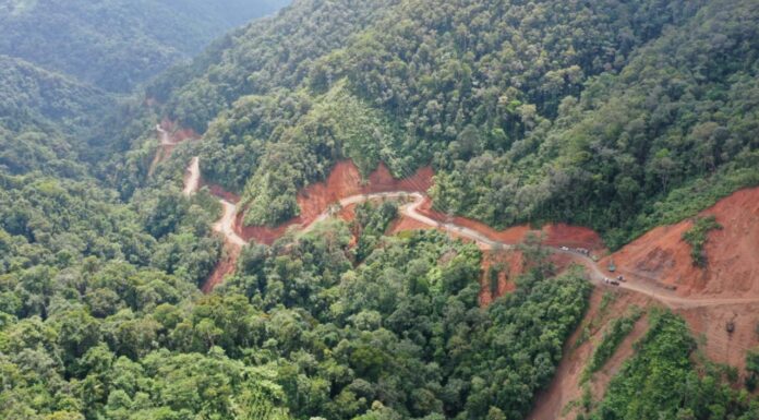 Plt Gubernur Andi Sudirman Sulaiman fokus menuntaskan jalan penghubung Palopo – Pantilang – Torut. (Int)