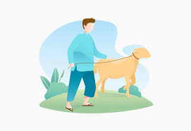 Plt Gubernur Andi Sudirman berkurban satu ekor sapi dan satu ekor kambing di Manuju, Gowa, Rabu 21 Juli 2021. (Ilustrasi Int)