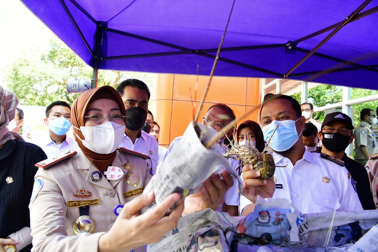 Plt Gubernur Sulsel Andi Sudirman Sulaiman saat melepas ekspor ikan ke berbagai negara, Rabu 14 April 2021. (Ist) Plt Gubernur Sulsel Andi Sudirman Sulaiman saat melepas ekspor ikan ke berbagai negara, Rabu 14 April 2021. (Ist)