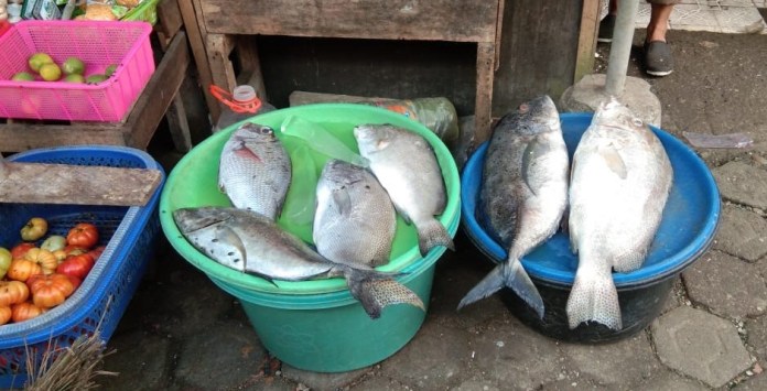 Tangkapan Nelayan Berkurang