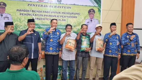 penyaluran-secara-simbolis-bibit-padi-program-mandiri-benih-di-aula-dinas-tanaman-pangan-hortikultura-perkebunan-dan-ketahanan-1763386973791_169